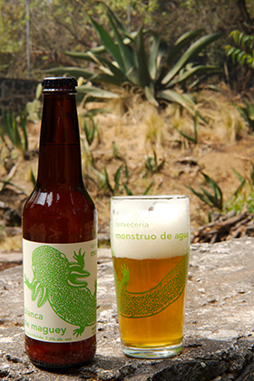 Blanca de Maguey, Agave White Ale